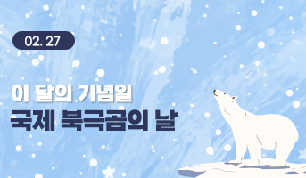 260205 ���󺣾�