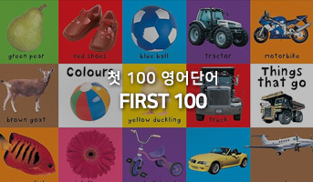 260626 First 100 �ø���