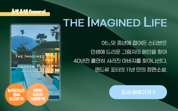 The Imagined Life